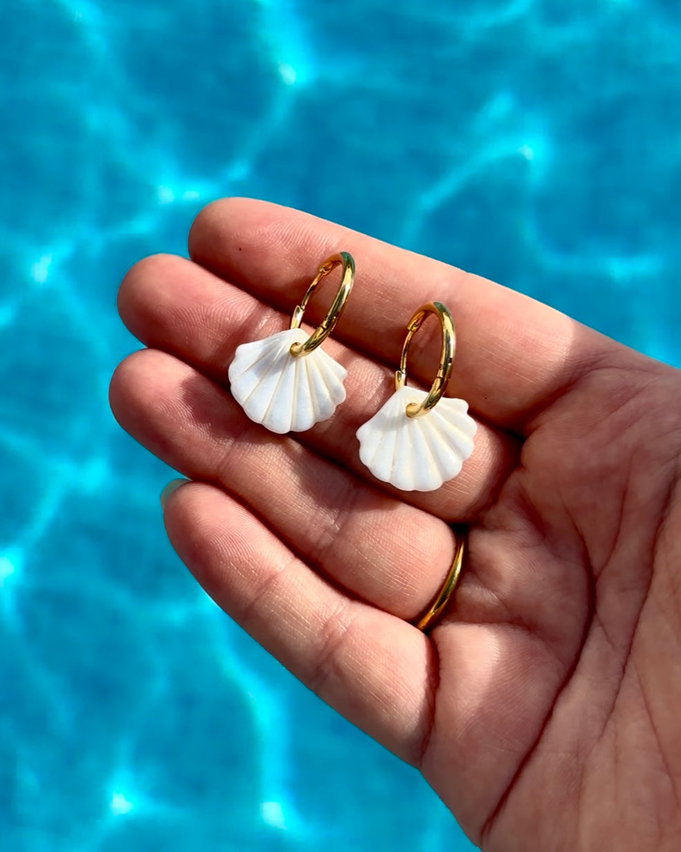 Shell Hoops