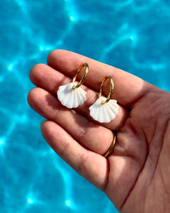 Shell Hoops