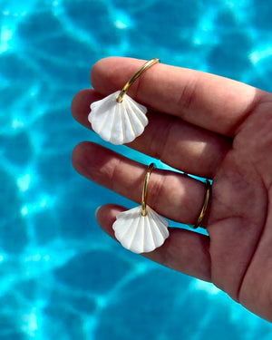 Shell Hoops