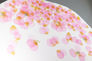 Falling Petals 5