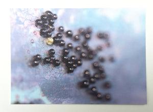 Set of 15 Postcards
