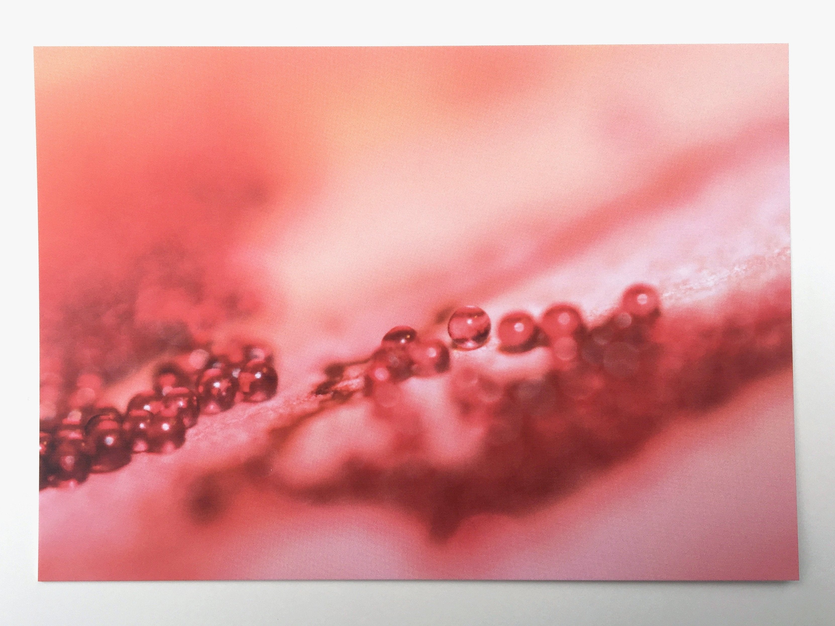 Set of 15 Postcards