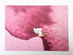 Set of 15 Postcards