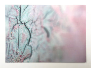 Set of 15 Postcards