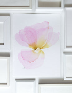 Swooped Petals 2