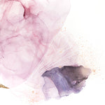 Transparency I